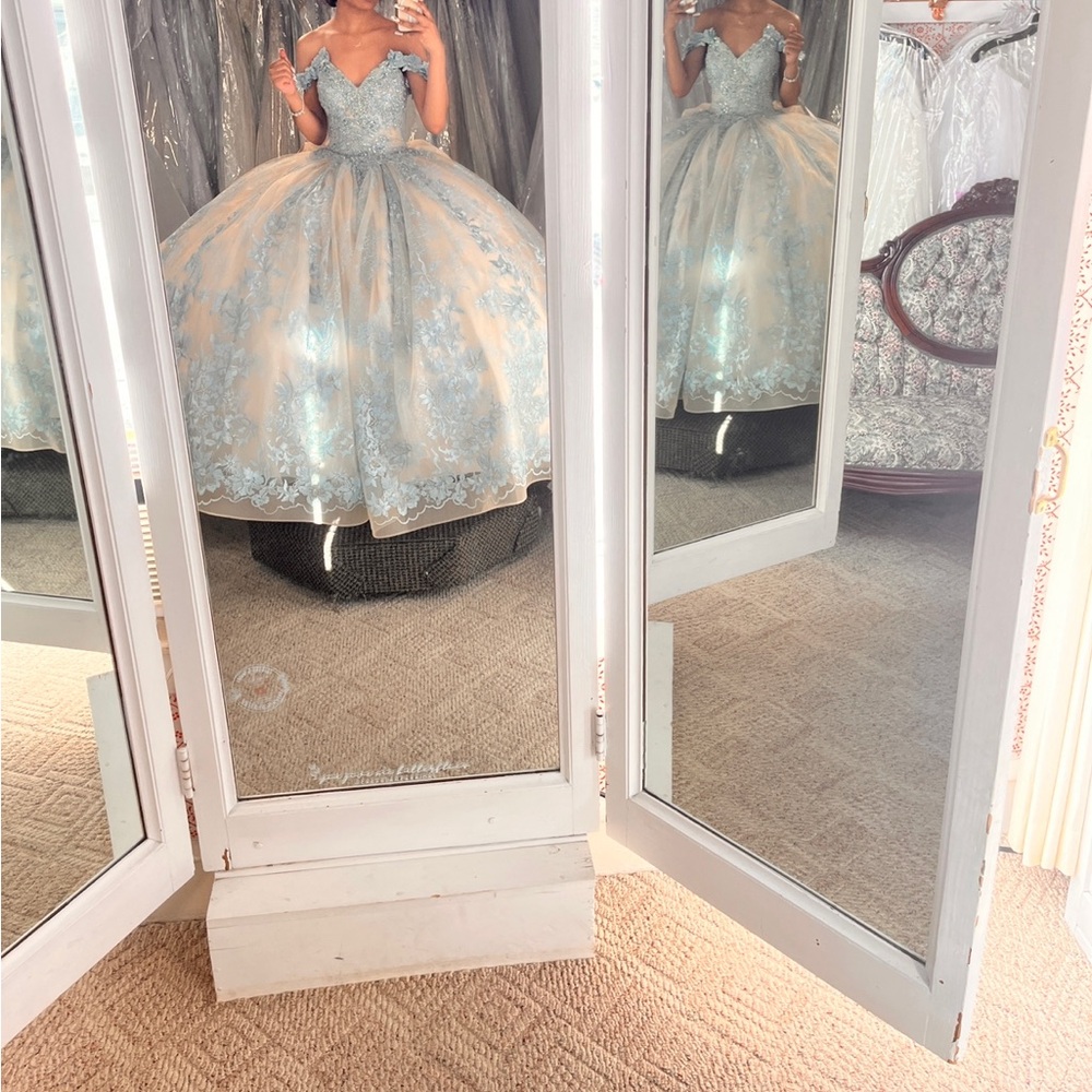 Quinceanera dress